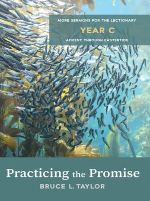 cover image of Practicing the Promise